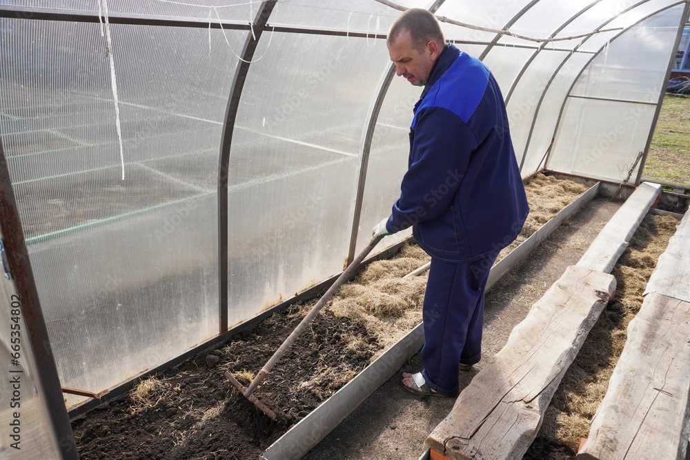 A man works in a vegetable garden in early spring. Digs the ground. Working in a greenhouse A man works in a vegetable garden in early spring. Digs the ground. Working in a greenhouse