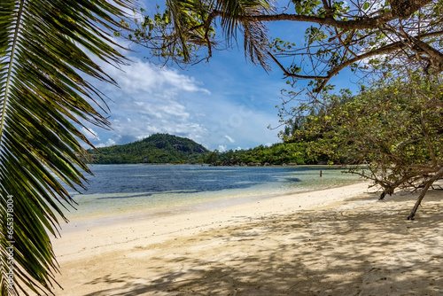 Fototapeta Naklejka Na Ścianę i Meble -  Beautiful tropical  beach Seychelles, Mahe island.