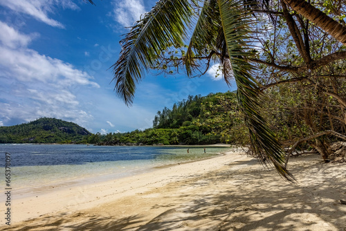 Fototapeta Naklejka Na Ścianę i Meble -  Beautiful tropical  beach Seychelles, Mahe island.