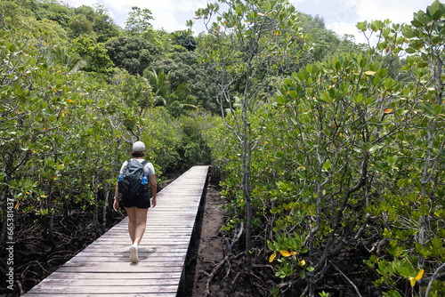 Back view. Tourists walking on a wooden bridge above mountain river , A hiker female walks along a tropical nature trail with a wooden boardwalk overlooking wetlands. Travel and exploration.