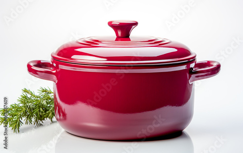 Saucepan.  Steel  stock pot