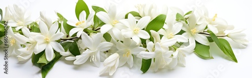 Jasmine flowers on white surface. © MdHafizur