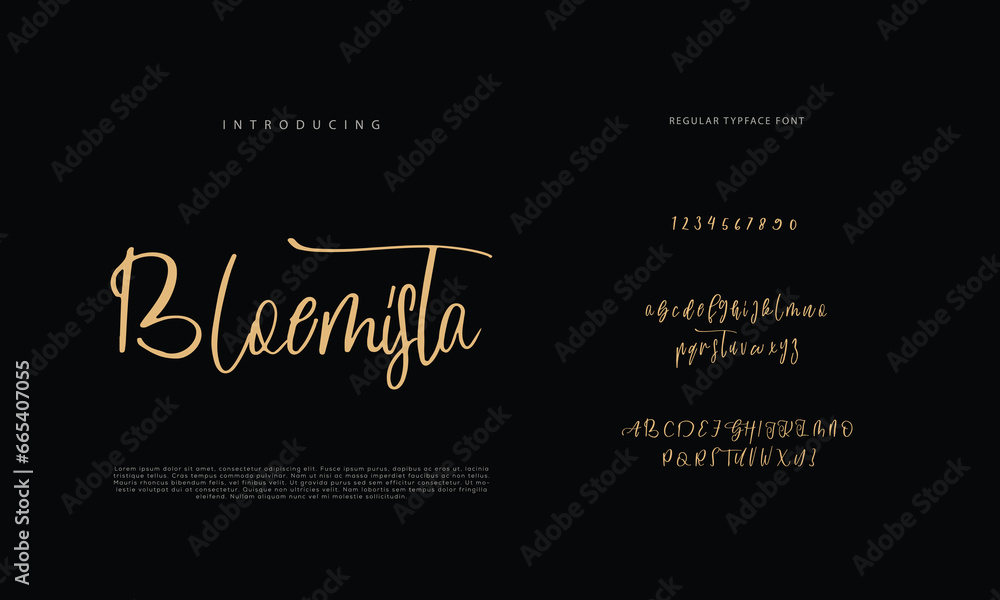 Handwritten Script font. Hand drawn brush style modern calligraphy cursive typeface. Hand Lettering and Custom Typography alphabet for Designs: Logo, Greeting Cards, Poster. Vector Brush type set.
