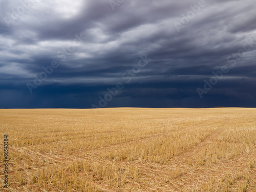 Dark storm clouds over a yellow harvested wheat field photo