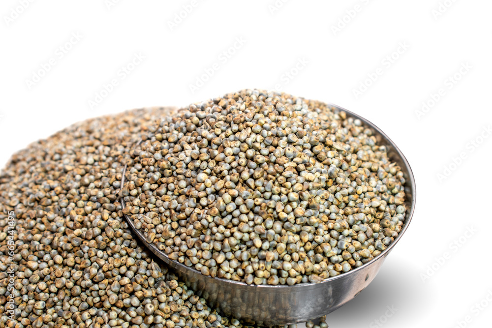 Bajra (Pearl millet) isolated on white background Bajra (Pearl millet) isolated on white background