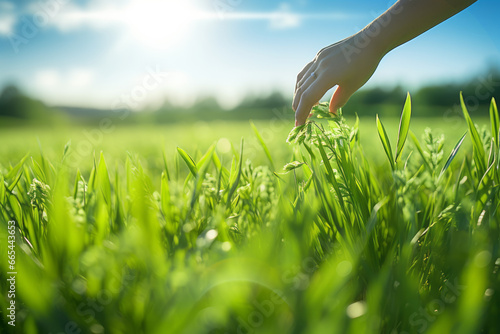 The gentle meadow watches over the Earth's environment. A woman's hands gently touch the grass. Earth's energy soothes the heart and body, fostering well-being. The concept of healing. photo