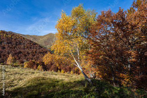 autunno