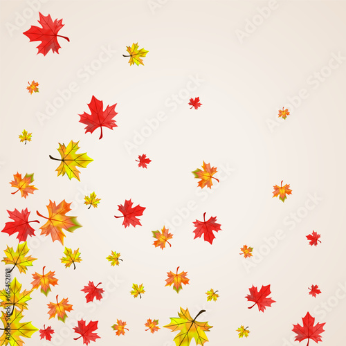 Orange Floral Background Beige Vector. Leaf Flying Illustration. Colorful November Foliage. Canadian Leaves Texture.