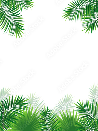 Green amazon border frame with exotic jungle plants, palm leaves, monstera and place for text. Summer foliage vector background. tropic design for travel, vacations card and banners