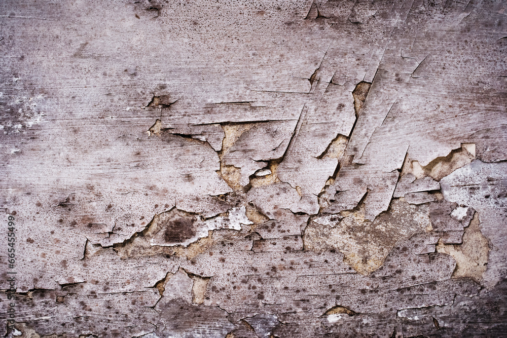 The wall is damaged by black fungus. Peeling of plaster due to damage