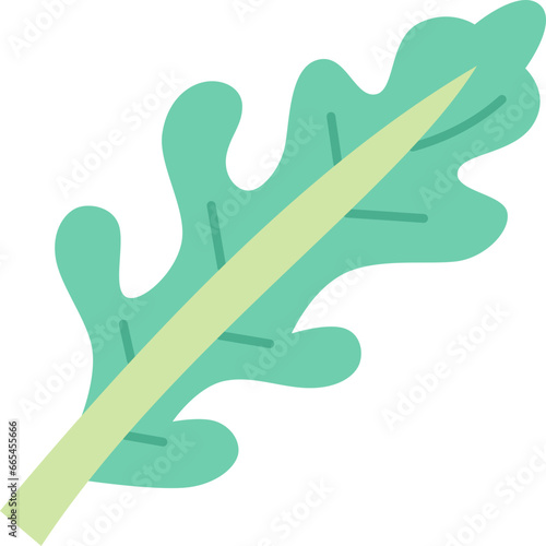 arugula  icon