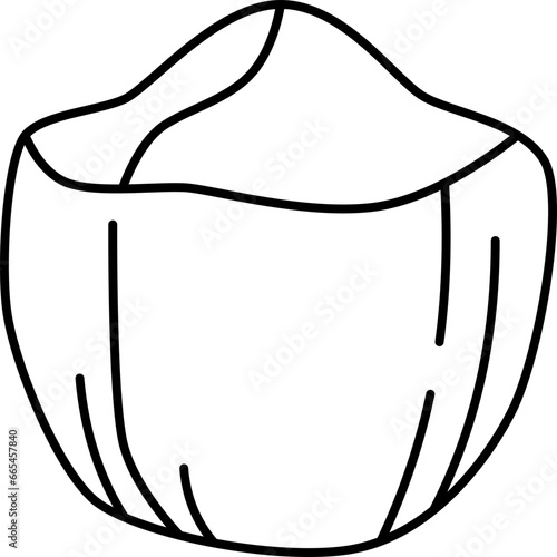 coconut  icon