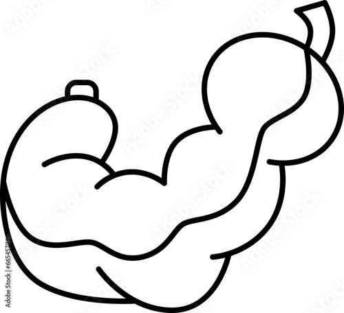 tamarind  icon