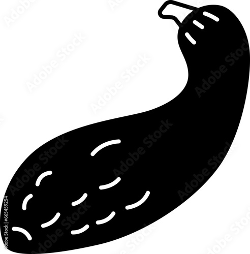 squash  icon