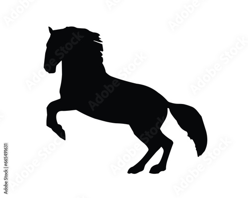 Horse Silhouette. Horse Vector Illustration.