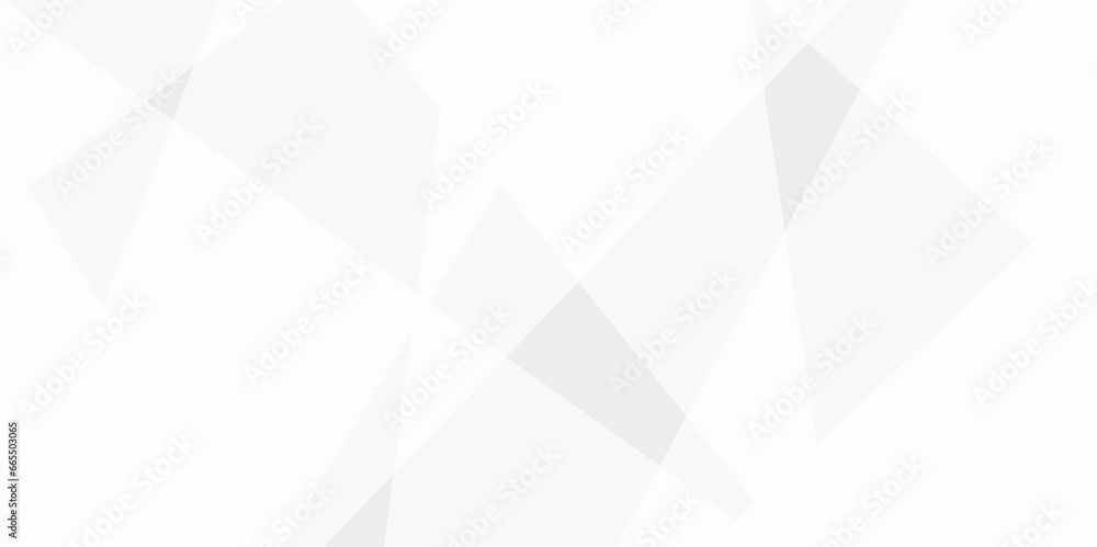 Abstract background with white and gray and geometric style with simple ...