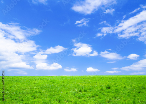緑の草原と青空