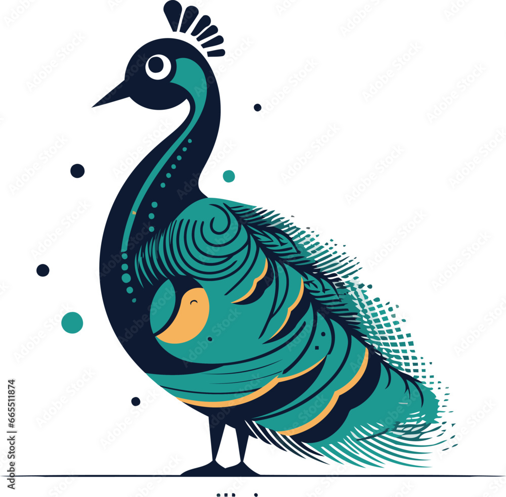 Fototapeta premium Peacock. Vector illustration. Isolated on white background.