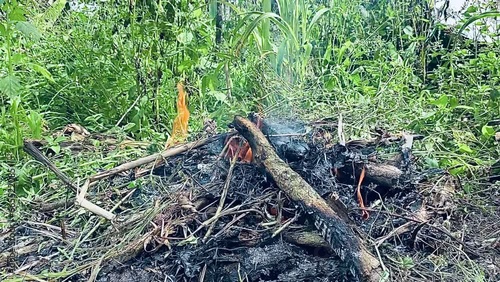 Wallpaper Mural Flame on a pile of wood Torontodigital.ca