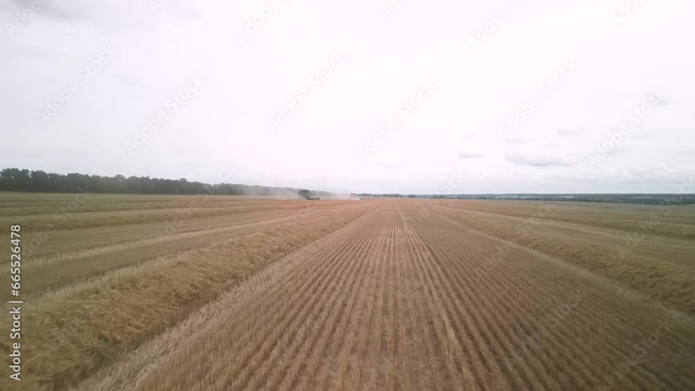 Wheat field aerial view in Ukraine Wheat field aerial view in Ukraine