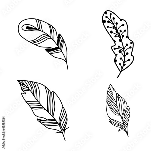 Set of bird feathers isolated on white. Vector. Creative concept for wedding invitations, cards, tickets, congratulations, branding, logo label, emblem