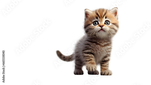 Cute banner with a cat isolated on transparent background