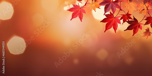 Golden splendor. Vibrant autumn leaves in sunny forest. Nature palette. Fall foliage in shades of yellow red and orange. Close up of sunlit leaf