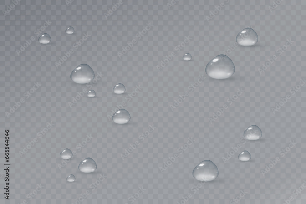 Realistic vector water drops png on a transparent light background ...