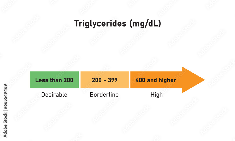 Triglycerides Level Concept Design. Vector Illustration. Triglycerides Level Concept Design. Vector Illustration.