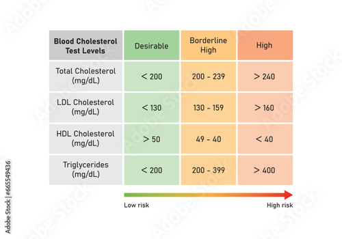 Blood Cholesterol Levels Concept Design. Vector Illustration.
