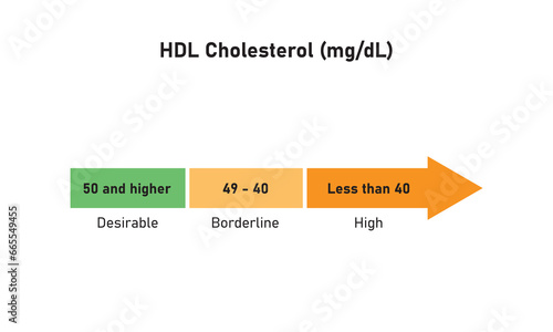 HDL Cholesterol Concept Design. Vector Illustration.