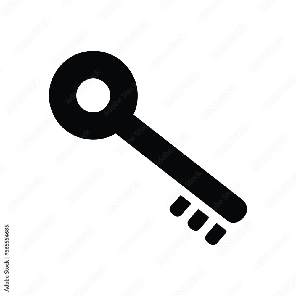 Vector key icon vector illustration isolated on white background