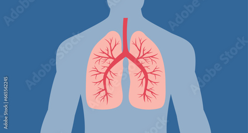 Abstract vector lungs, Lung disease in human body, Human health, respiratory system, pneumonia illness, biology science, smoker asthma, healthcare concept. Organ anatomy illustration