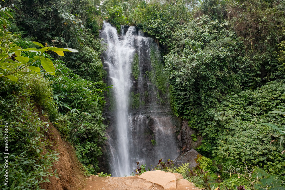 Bali's Waterfall in Long Shutter Grace, Brown Ground and Lush Greenery Bali's Waterfall in Long Shutter Grace, Brown Ground and Lush Greenery
