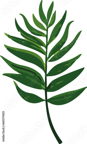 Minimalistic vector illustration of tropical leaves.