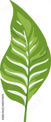 Minimalistic tropical vector leaves. Simple yet vibrant, these sleek leaves display a contemporary twist on the lushness of the tropics.
