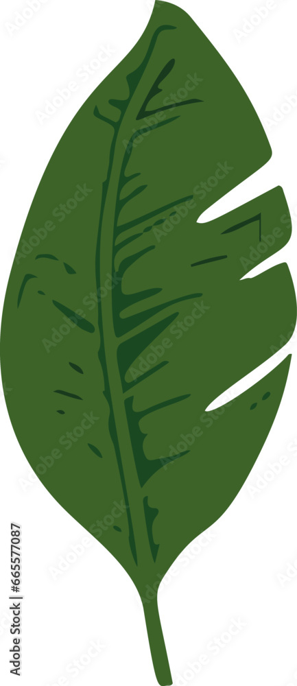 Minimalistic vector illustration of tropical leaves. Minimalistic vector illustration of tropical leaves.