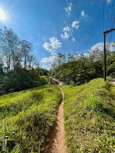 Caminho na natureza photo