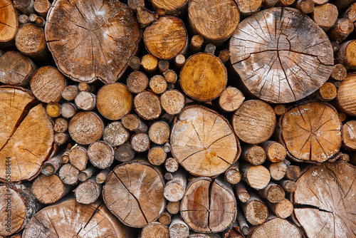 Logs of various sizes are cut and stacked in industrial applications.