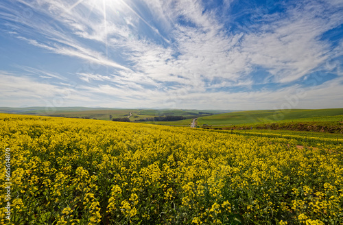 A beautiful landscape showing farmland planted with Canola near Caledon, Western Cape, South Africa. 