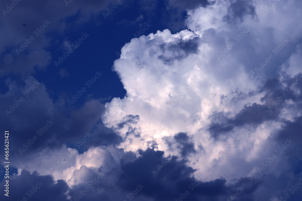 Skyscape. Cumulus clouds in close-up.
