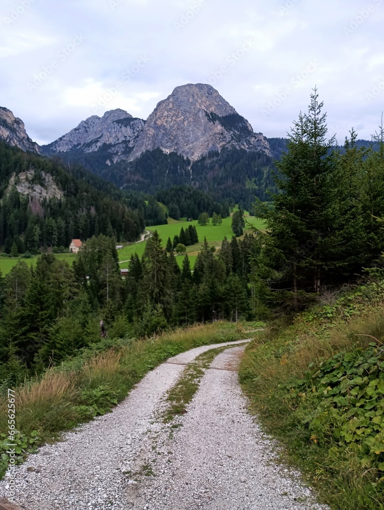 Obraz premium Path to Mount Lungo