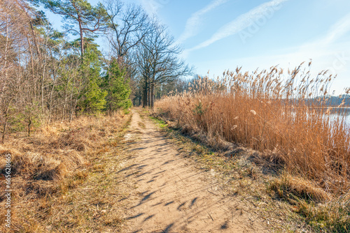 Sandy path on the edge of a lake. The low sunlight casts shadows from the dried reeds on the path. The photo was taken on a sunny day with a blue sky in the Dutch winter season.