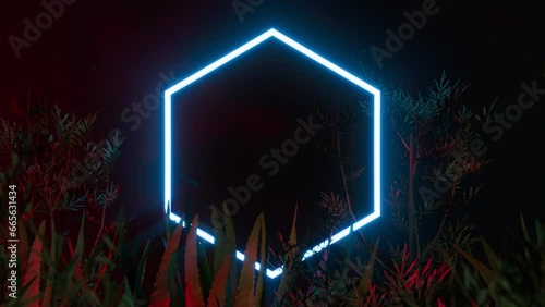 Wallpaper Mural Neon hexagon shape rotating among tropical plants. Loop 3d animation Torontodigital.ca