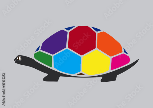 vector colorful turtle animal illustration photo