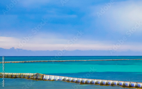 Seaweed Sargazo net caribbean beach water Playa del Carmen Mexico.