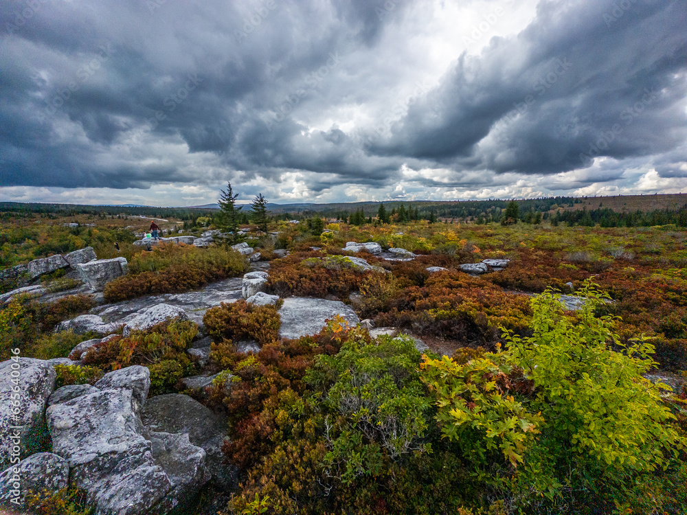 Fall foliage colors of Dolly Sods in West Virginia