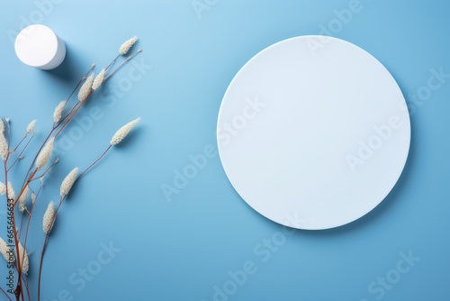 Layout of white round object in blue color with plants. Minimal concept of a dais, pedestal or mockup for product or object presentation or advertising print copy space