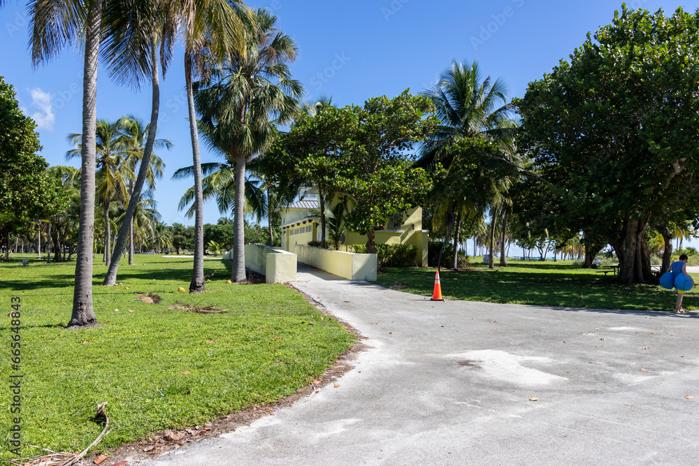 Obraz premium a stunning summer landscape at Crandon Park along a footpath with lush green palm trees and grass, people walking and a gorgeous clear blue sky in Key Biscayne Florida USA