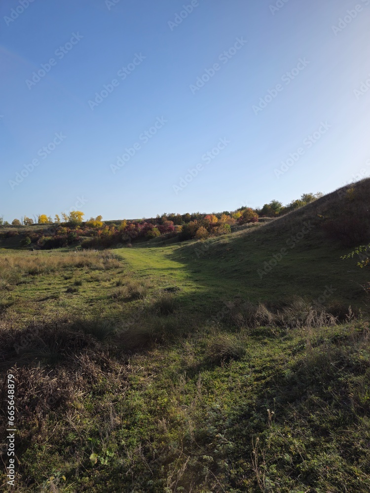 A grassy hill with a hill in the background A grassy hill with a hill in the background